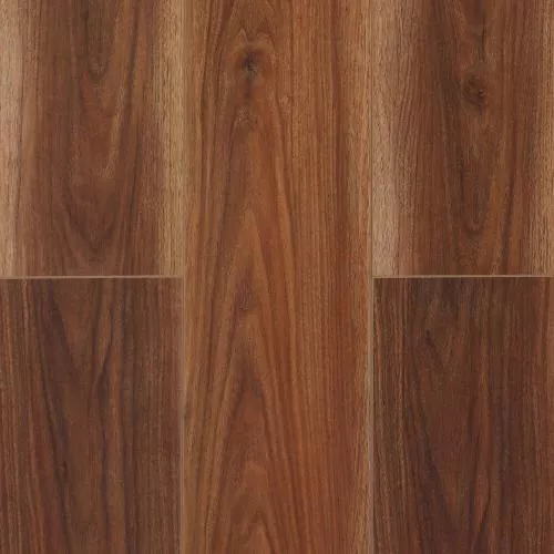  Дуб Красный