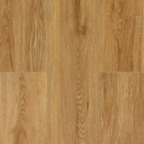  Дуб Медовый