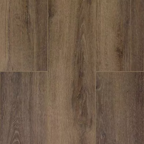  Дуб Обыкновенный