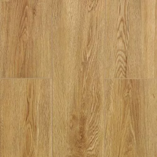  Дуб Скальный