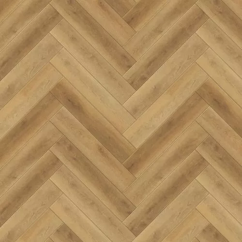 H019 Дуб Авиньон