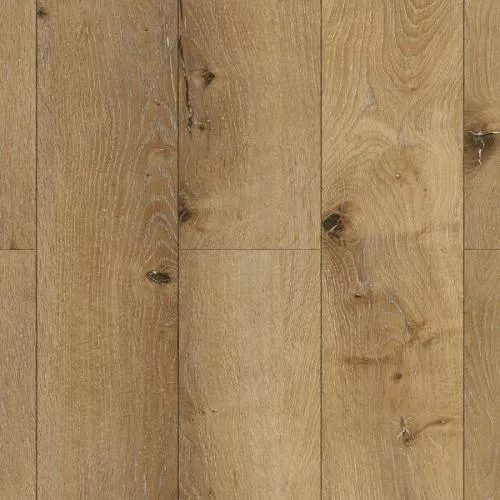 J1004 Дримерс