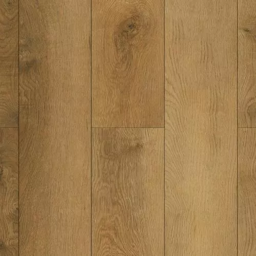 J1008 Каррара