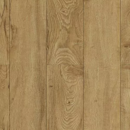 J1009 Феррара