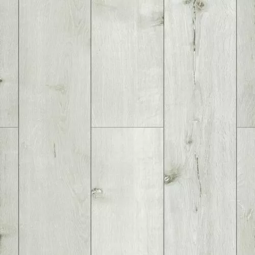 J1010 Радиант