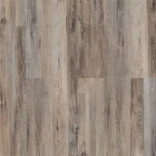 N008 Дуб Французский