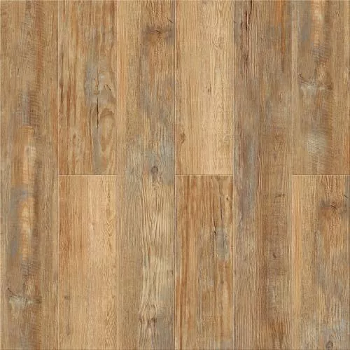 N0010 Сосна Медовая