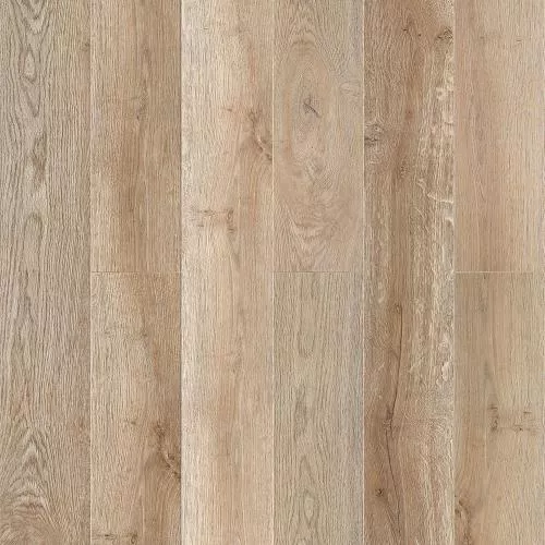 N007 Дуб Светлый