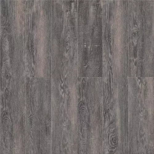 N006 Дуб Морёный