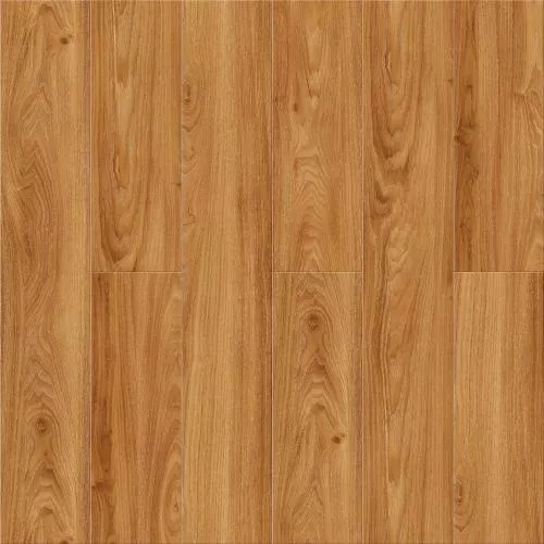 N004 Дуб Верона