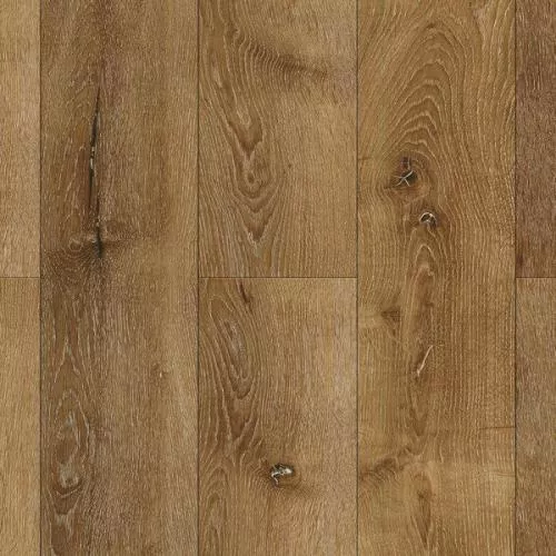 RC0010 Леванта