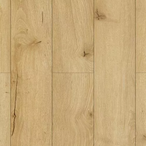 RC004 Таксония