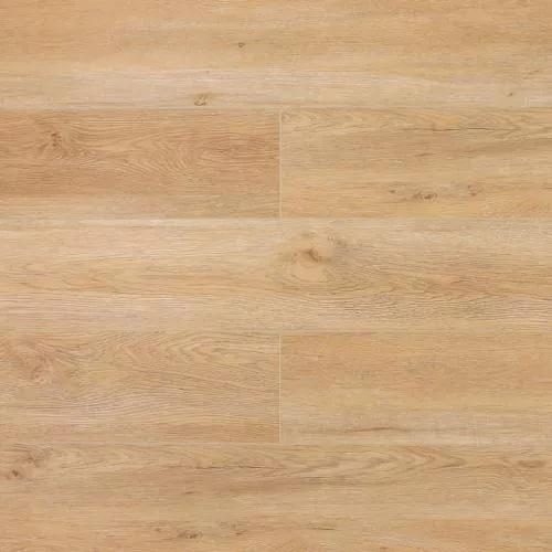 W008 Дуб Монтара