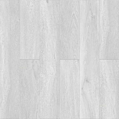 W009 Дуб Серебристый