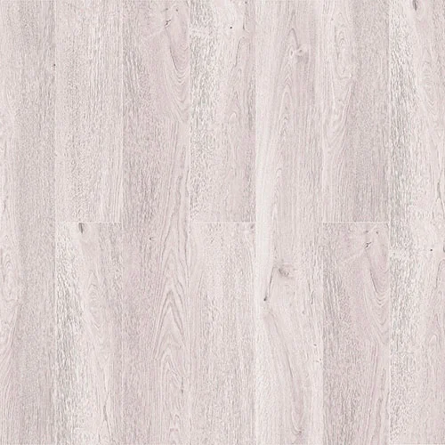 ZH-81126-1 Дуб Серебристый