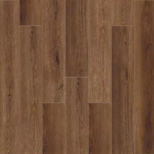 W0017 Дуб Регин