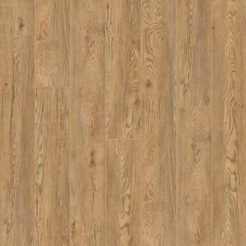 XJ1053-7 Паланга