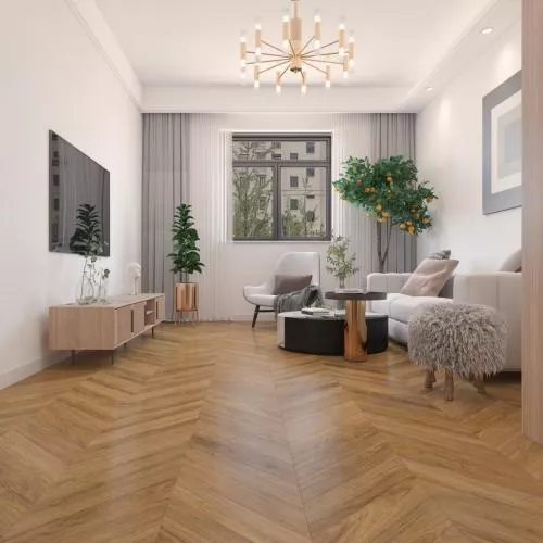 DF09-Ch Монсоро