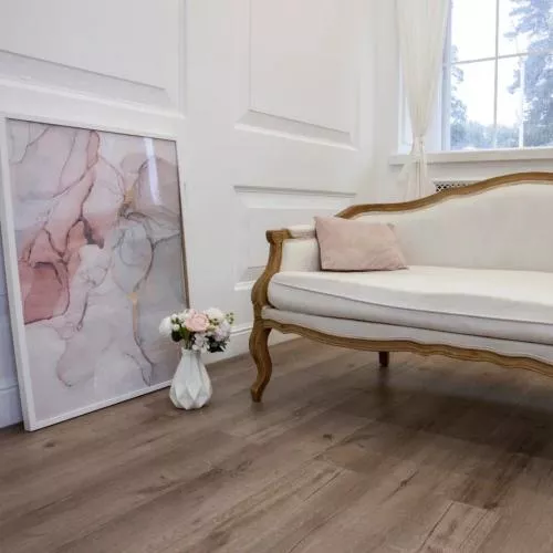  Дуб Изысканный