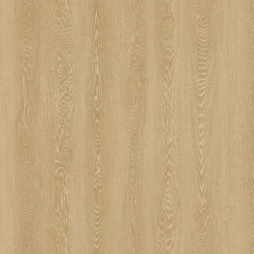 NOX-1952 Дуб Шампань