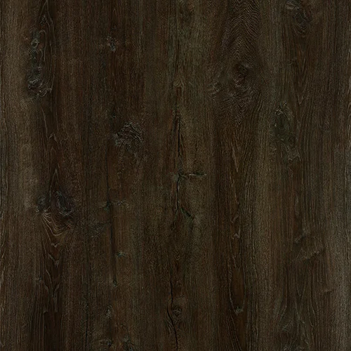 NOX-1961 Дуб Сан-Томе