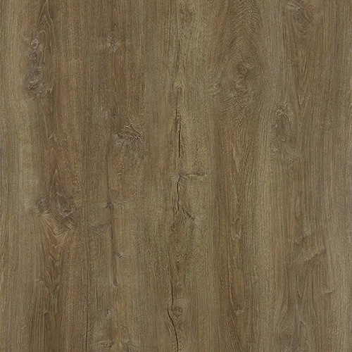 NOX-1962 Дуб Сен-Мартен