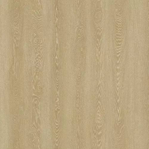 NOX-2052 Дуб Шампань