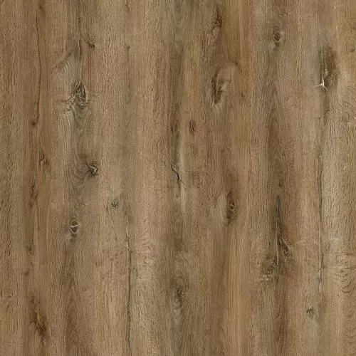 NOX-2059 Дуб Марракеш