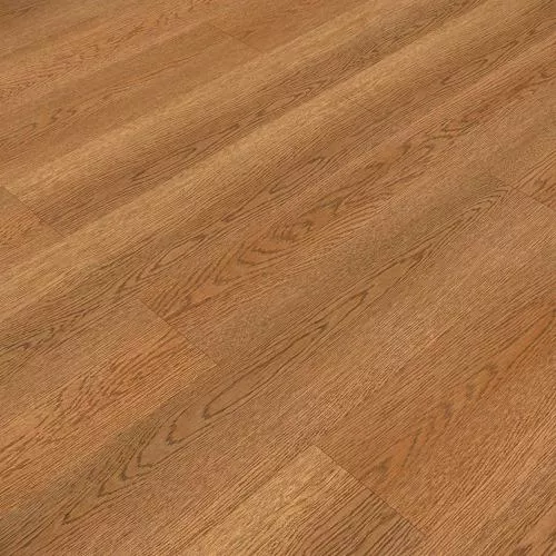 NOX-2072 Дуб Лердам