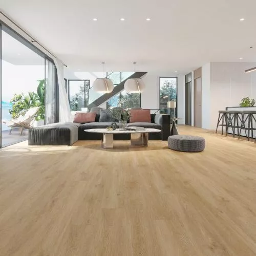 S006-2 Дуб Борнео