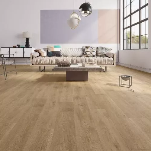 S018 Дуб Флорес