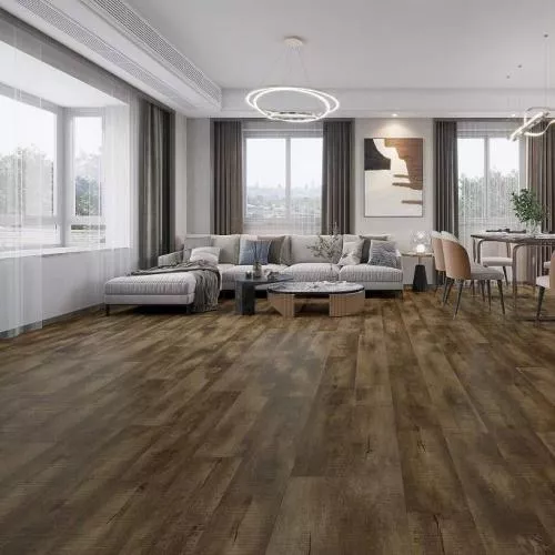 S001 Дуб Капри