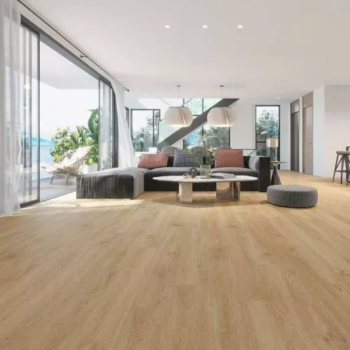 S006-2 Дуб Борнео