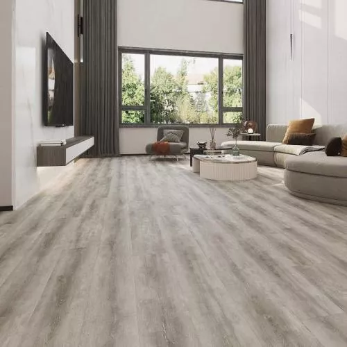 S022 Дуб Корсика