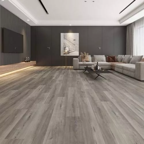 16804 Дуб Индиго