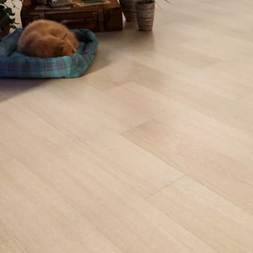 FF-1432 Дуб Бари