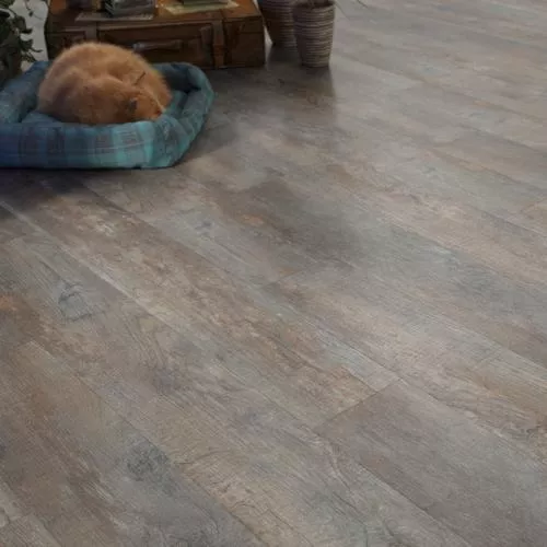 FF-1418 Дуб Этна