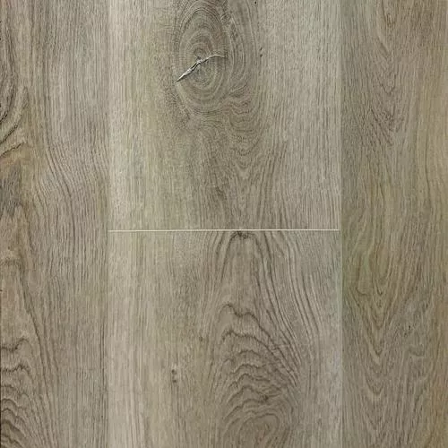 2001 Дуб Корсика