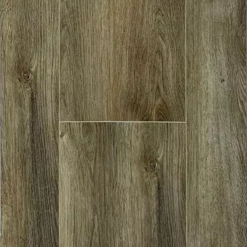 2002 Дуб Дакота