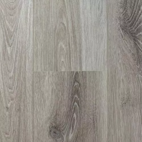 2005 Дуб Канарский