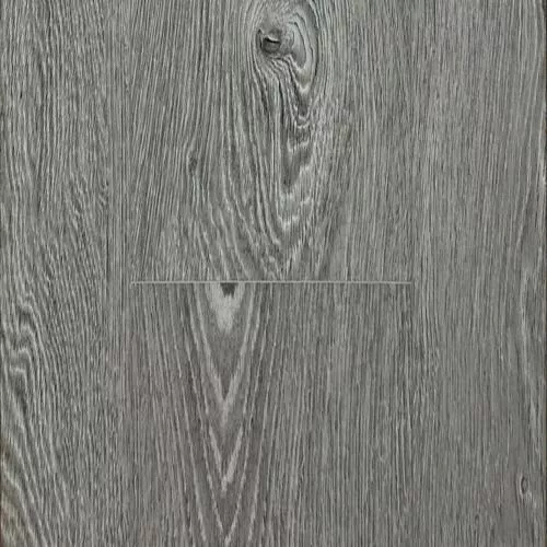 2006 Дуб Монтана