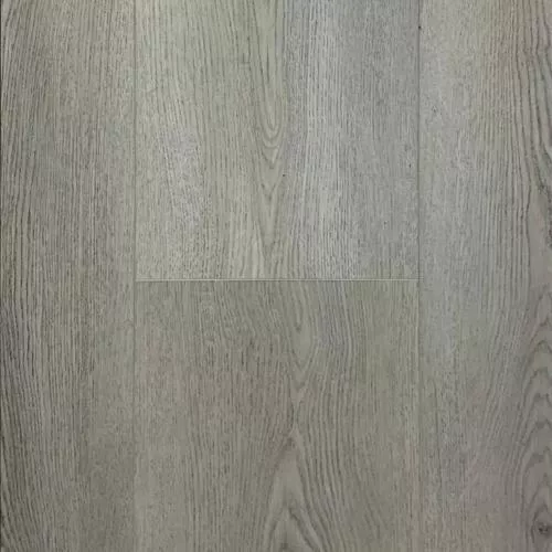 2007 Дуб Сидней