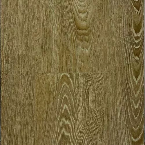 2008 Дуб Венецианский