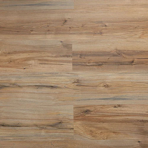 GWES-03 Дуб Каталония