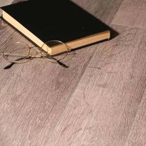 3162 Дуб Гайана