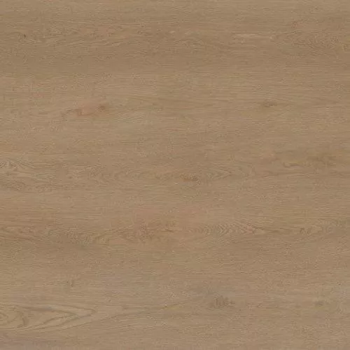 40-114 Дуб Ойстер