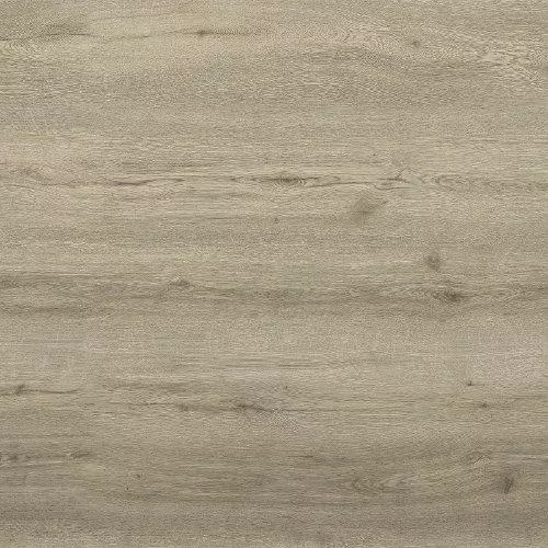 40-216 Дуб Шанидар