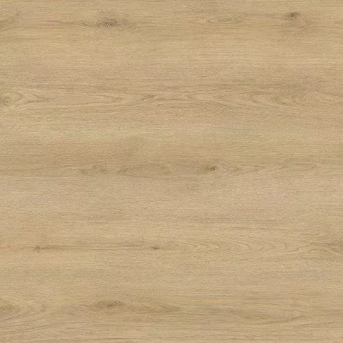 88-209 Дуб Толедо