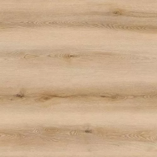 88-213 Дуб Геллерт