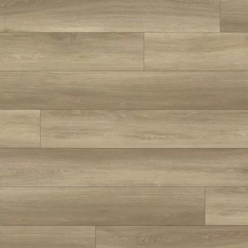 712 Дуб Бернардо